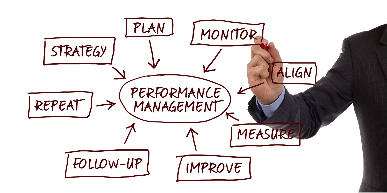 business and performance plans definition